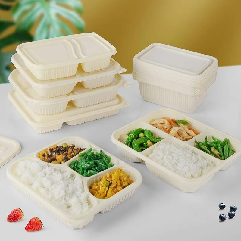 Lunch Boxes