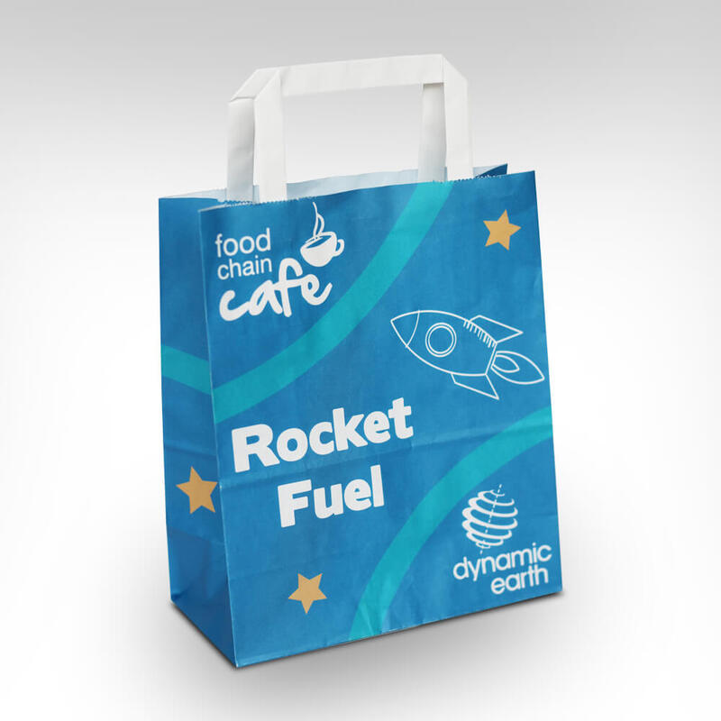 Large Flat Handle Paper Bags - 250 x 140 x 305mm (9.8 x 5.5 x 12