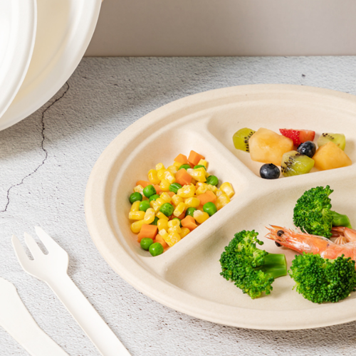Disposable three grid dining plate（9）