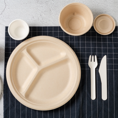 Disposable dining plate（9）