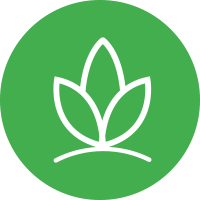 Biodegradable Biodegradable