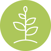 compostable compostable